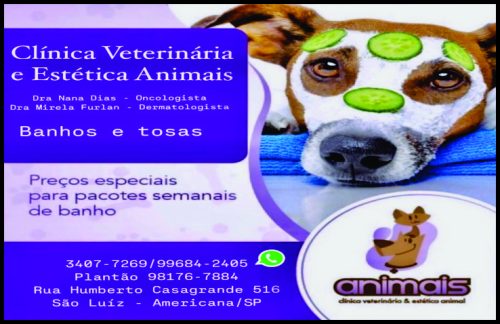 Animais Clinica Veterinária e Estética