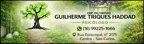Guilherme Triques Haddad