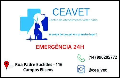 Ceavet