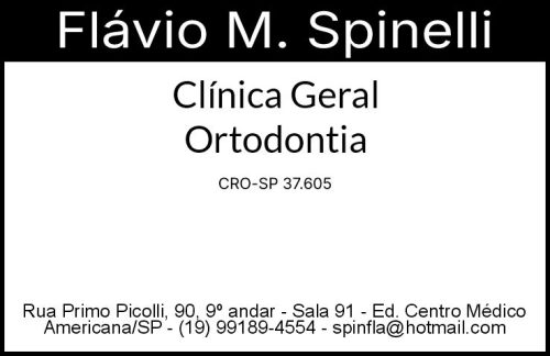 Flavio de Mattos Spineeli