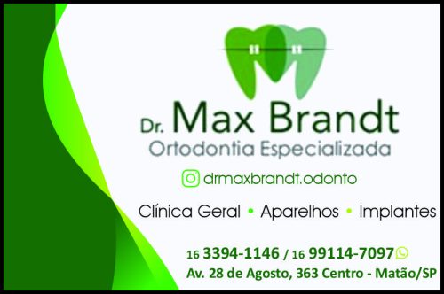 Max Brandt
