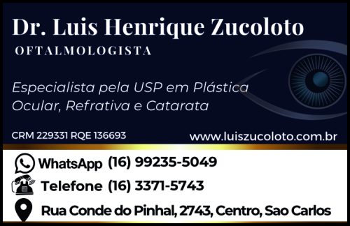 Luis Henrique Zucoloto