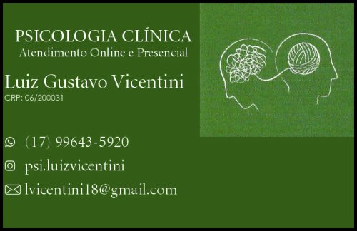 Luiz Gustavo Vicentini