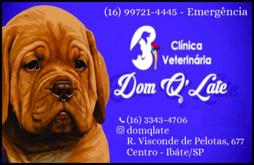 Clinica Veterinaria Dom Q Late