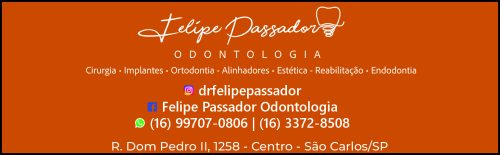 Felipe Augusto Rossi Passador